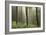 Trees in English Woodland-David Baker-Framed Photographic Print