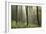 Trees in English Woodland-David Baker-Framed Photographic Print