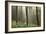 Trees in English Woodland-David Baker-Framed Photographic Print