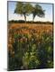 Premium Photographic Print