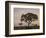 Trees in Fog at Dawn, Kruger National Park, South Africa, Africa-James Hager-Framed Photographic Print