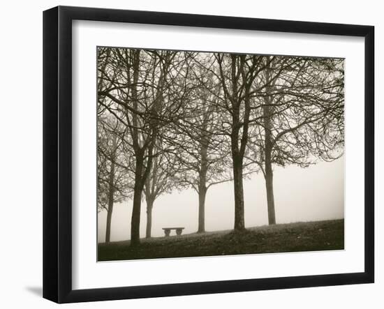 Trees in Fog VI-Jody Stuart-Framed Photographic Print