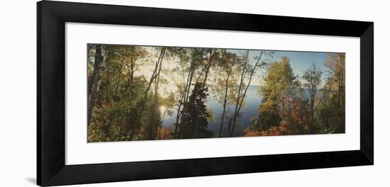 Trees in Front of a Lake, Minnesota, USA-null-Framed Photographic Print