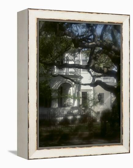 Trees in Front of a Mansion-null-Framed Premier Image Canvas