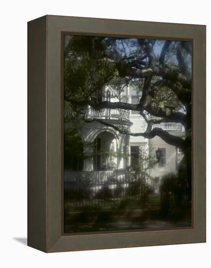 Trees in Front of a Mansion-null-Framed Premier Image Canvas