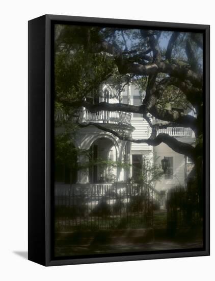 Trees in Front of a Mansion-null-Framed Premier Image Canvas