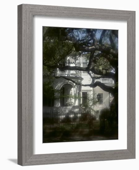 Trees in Front of a Mansion-null-Framed Photographic Print