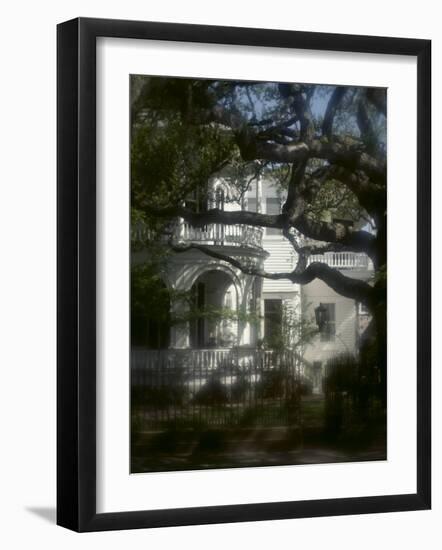 Trees in Front of a Mansion-null-Framed Photographic Print