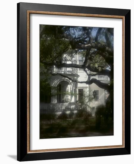 Trees in Front of a Mansion-null-Framed Photographic Print