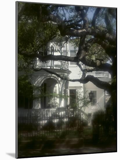 Trees in Front of a Mansion-null-Mounted Photographic Print