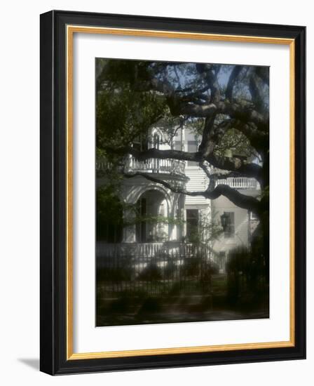 Trees in Front of a Mansion-null-Framed Photographic Print