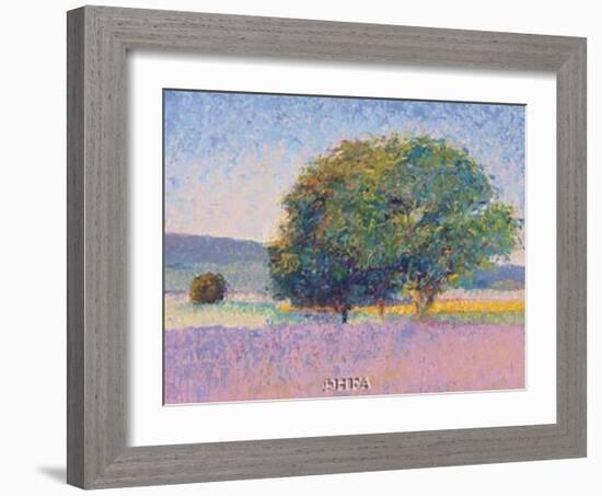 Trees in Provence-Gail Wells-Hess-Framed Art Print