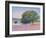 Trees in Provence-Gail Wells-Hess-Framed Art Print