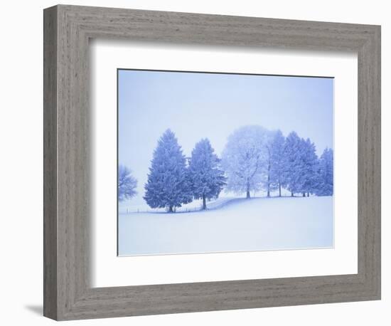 Trees in snow-covered landscape in winter-Herbert Kehrer-Framed Photographic Print