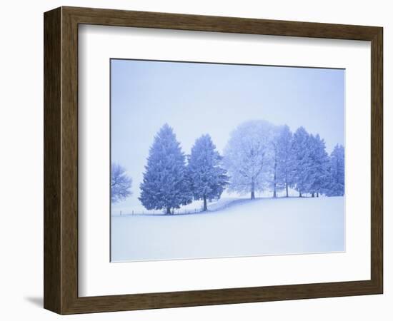 Trees in snow-covered landscape in winter-Herbert Kehrer-Framed Photographic Print