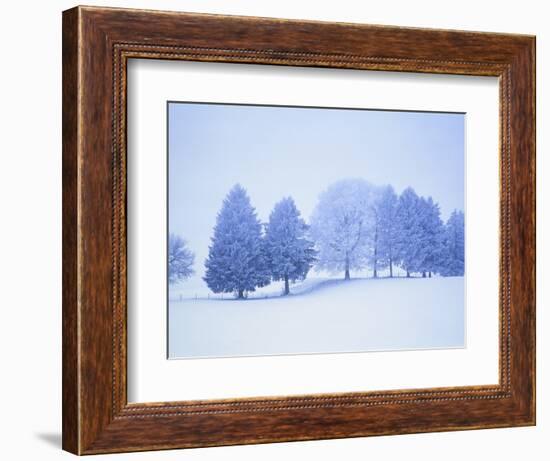 Trees in snow-covered landscape in winter-Herbert Kehrer-Framed Photographic Print