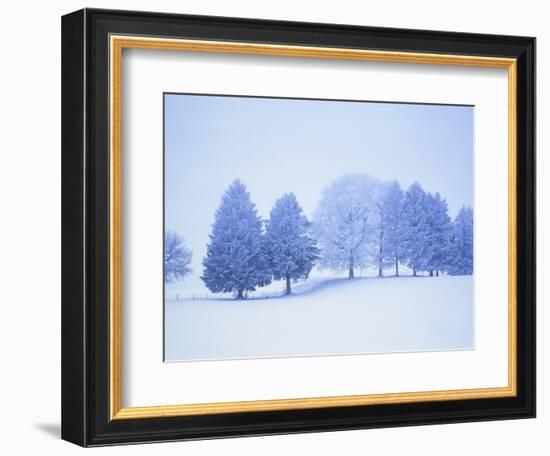 Trees in snow-covered landscape in winter-Herbert Kehrer-Framed Photographic Print