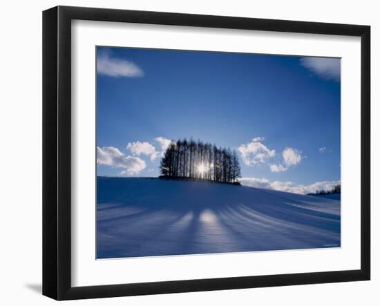 Trees in Snow-null-Framed Photographic Print