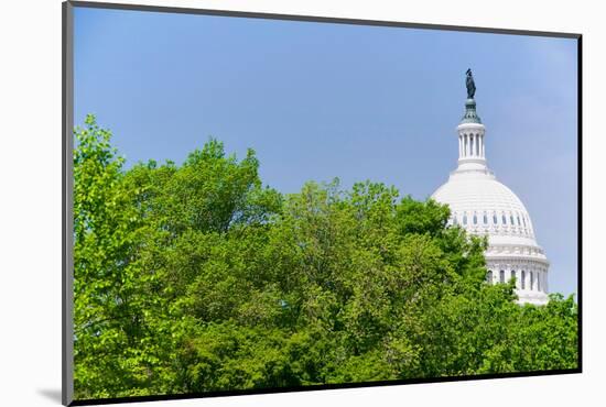 Trees in spring covers U.S. Capitol Dome in Washington D.C.-null-Mounted Photographic Print
