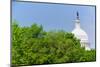Trees in spring covers U.S. Capitol Dome in Washington D.C.-null-Mounted Photographic Print