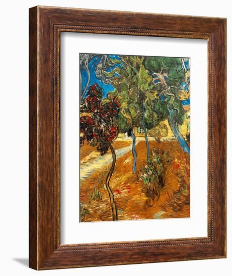 Trees in the Asylum Gardens, Arles, 1889-Vincent van Gogh-Framed Giclee Print