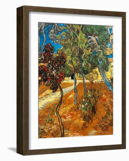 Trees in the Asylum Gardens, Arles, 1889-Vincent van Gogh-Framed Giclee Print