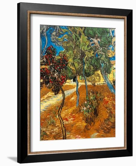 Trees in the Asylum Gardens, Arles, 1889-Vincent van Gogh-Framed Giclee Print