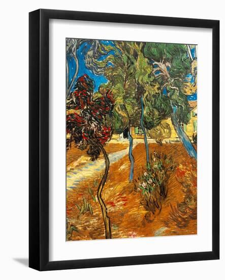 Trees in the Asylum Gardens, Arles, 1889-Vincent van Gogh-Framed Giclee Print