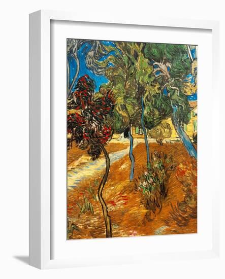 Trees in the Asylum Gardens, Arles, 1889-Vincent van Gogh-Framed Giclee Print