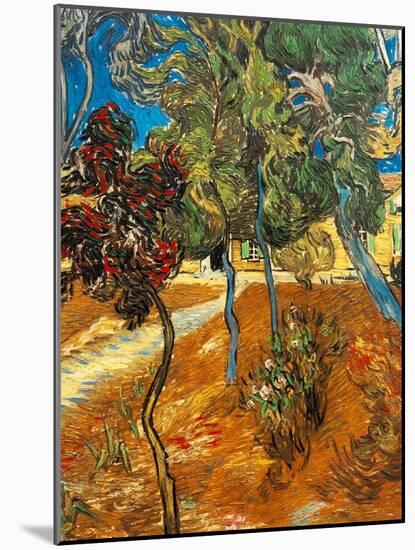 Trees in the Asylum Gardens, Arles, 1889-Vincent van Gogh-Mounted Giclee Print