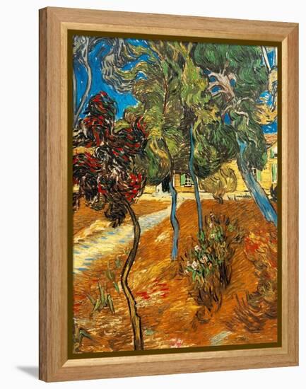 Trees in the Asylum Gardens, Arles, 1889-Vincent van Gogh-Framed Premier Image Canvas