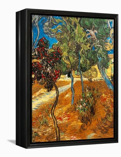 Trees in the Asylum Gardens, Arles, 1889-Vincent van Gogh-Framed Premier Image Canvas