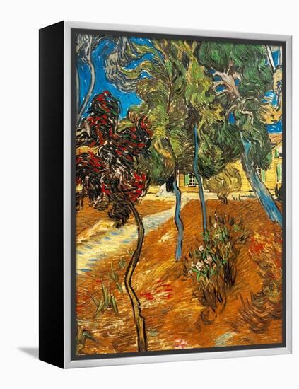 Trees in the Asylum Gardens, Arles, 1889-Vincent van Gogh-Framed Premier Image Canvas