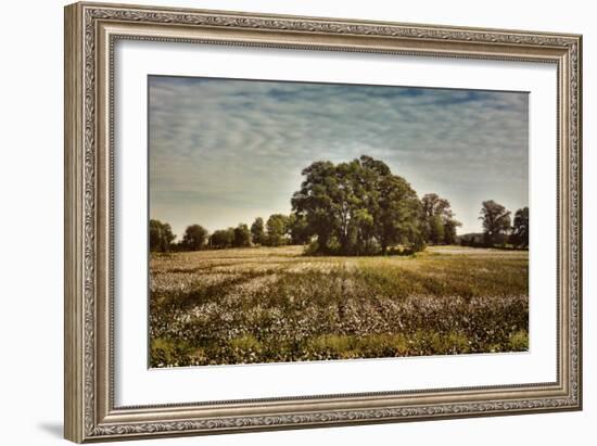 Trees in the Cotton Field-Jai Johnson-Framed Giclee Print