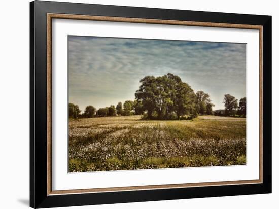 Trees in the Cotton Field-Jai Johnson-Framed Giclee Print