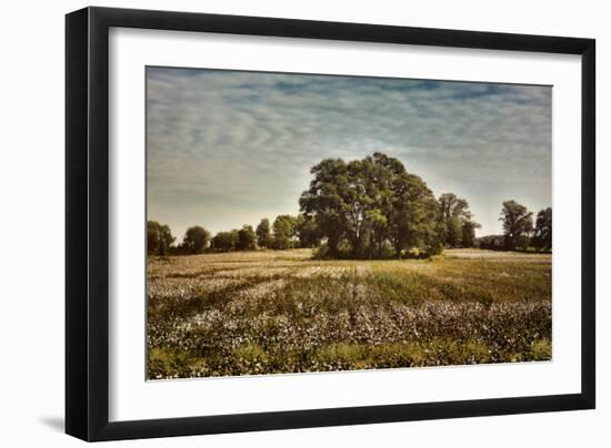 Trees in the Cotton Field-Jai Johnson-Framed Giclee Print