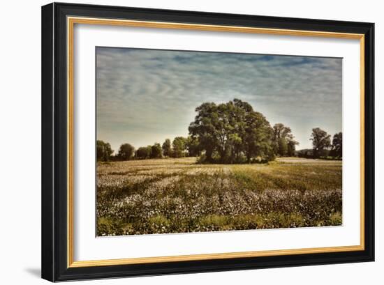 Trees in the Cotton Field-Jai Johnson-Framed Giclee Print