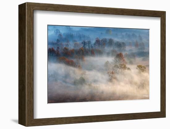 Trees in the Early Morning Fog-Valentino Alessandro-Framed Photographic Print