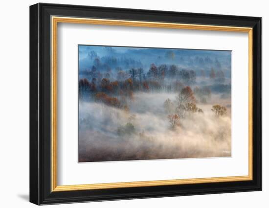 Trees in the Early Morning Fog-Valentino Alessandro-Framed Photographic Print