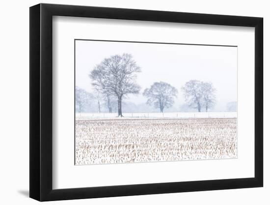 Trees in the field, Darlands Nature Reserve, Borough of Barnet, London, England-Nadia Isakova-Framed Photographic Print