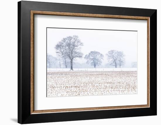 Trees in the field, Darlands Nature Reserve, Borough of Barnet, London, England-Nadia Isakova-Framed Photographic Print