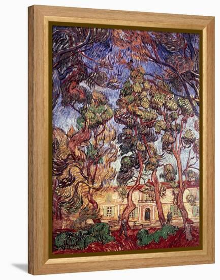 Trees in the Garden of Saint-Paul Hospital-Vincent van Gogh-Framed Premier Image Canvas