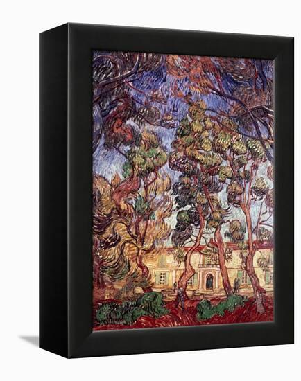 Trees in the Garden of Saint-Paul Hospital-Vincent van Gogh-Framed Premier Image Canvas