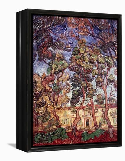 Trees in the Garden of Saint-Paul Hospital-Vincent van Gogh-Framed Premier Image Canvas