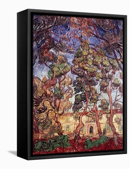 Trees in the Garden of Saint-Paul Hospital-Vincent van Gogh-Framed Premier Image Canvas