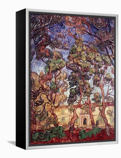 Trees in the Garden of Saint-Paul Hospital-Vincent van Gogh-Framed Premier Image Canvas