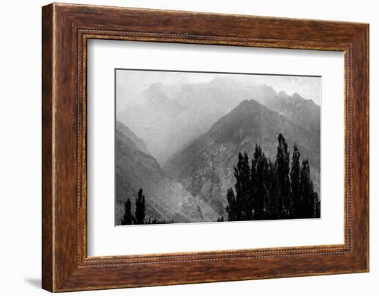 Trees in the Mountains-Imaginative-Framed Photographic Print