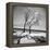 Trees in the Snow-Alfred Eisenstaedt-Framed Premier Image Canvas