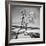 Trees in the Snow-Alfred Eisenstaedt-Framed Photographic Print