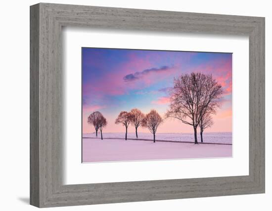 Trees in the Winter Wind-Philippe Sainte-Laudy-Framed Photographic Print